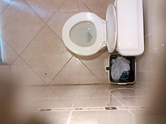 in the toilet ceiling