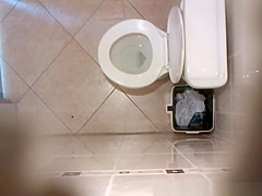 in the toilet ceiling