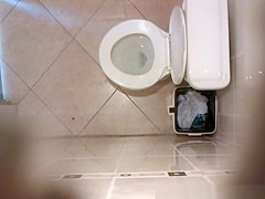 in the toilet ceiling