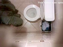 in the toilet ceiling