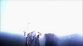 introducing a new slave IV