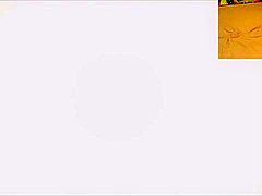 japanese webcam masterbation