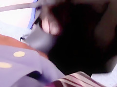 licking small dog