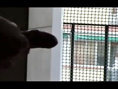 mira y le mola