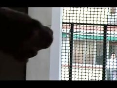 mira y le mola