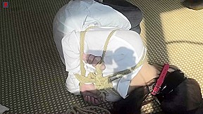 小凡 白衬衣牛仔裤驷马调教