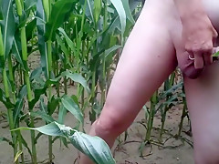 outdoor im maisfeld wixen cumshot