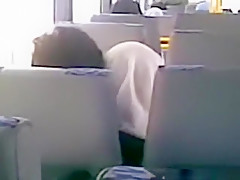 tapes an arab hijab girl blowing her bf's cock in a public bus