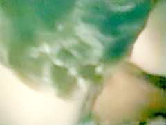 tarzan