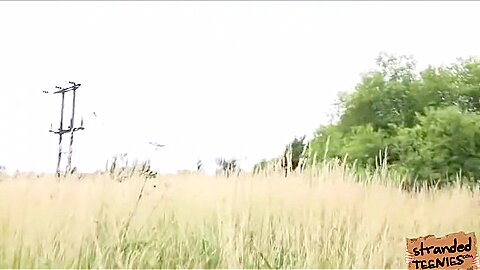 teen 18+ Harmony Is Pick Up In The Middle Of Nowhere