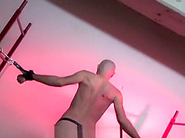 well whipt slave
