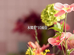 x3xBF38141F423CB4FA16